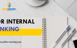 AUDITOR INTERNAL FOR BANKING ONLINE TRAINING