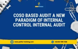 pelatihan coso-based audit a new paradigm of internal control & internal audit , Training coso-based audit a new paradigm of internal control & internal audit