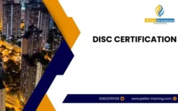 pelatihan disc certification , Training disc certification