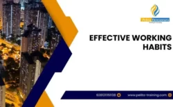 pelatihan effective working habits , Training effective working habits