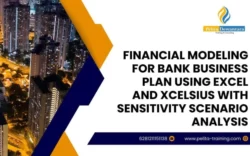 pelatihan financial modeling for bank business plan using excel and xcelsius with sensitivity & scenario analysis , Training financial modeling for bank business plan using excel and xcelsius with sensitivity & scenario analysis