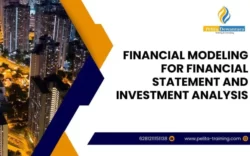 pelatihan financial modeling for financial statement and investment analysis , Training financial modeling for financial statement and investment analysis
