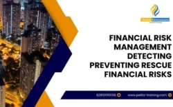 pelatihan financial risk management – detecting, preventing and rescue financial risks , Training financial risk management – detecting, preventing and rescue financial risks