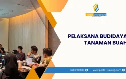 SERTIFIKASI PELAKSANA BUDIDAYA TANAMAN BUAH JAKARTA