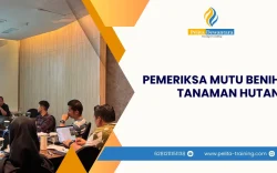 SERTIFIKASI PEMERIKSA MUTU BENIH TANAMAN HUTAN PROFESIONAL JAKARTA