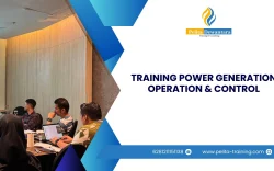 TRAINING POWER GENERATION OPERATION & CONTROL