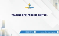 TRAINING OPEN PROCESS CONTROL