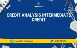 pelatihan credit analysis (intermediate credit) , Training credit analysis (intermediate credit)
