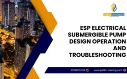 pelatihan esp – electrical submersible pump design, operation and troubleshooting , Training esp – electrical submersible pump design, operation and troubleshooting