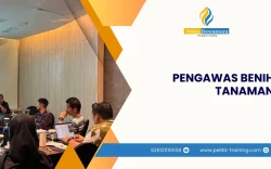 SERTIFIKASI PENGAWAS BENIH TANAMAN JAKARTA