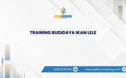 TRAINING BUDIDAYA IKAN LELE