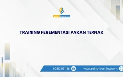 TRAINING FEREMENTASI PAKAN TERNAK